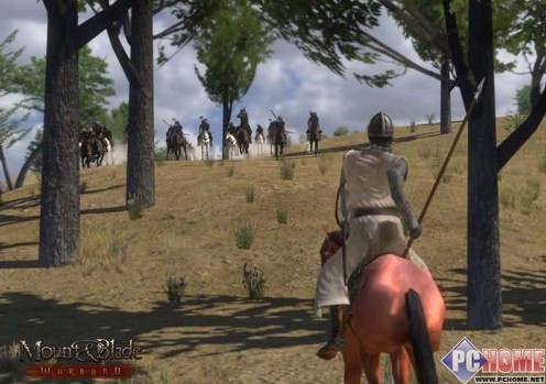 骑马与砍杀：战团(绿色免安装中文完整硬盘版)