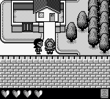 口袋花少路[日]