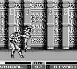 究极战士[美][欧]