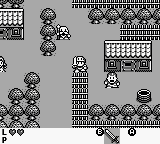 罗兰的诅咒[美]