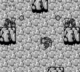 空中骑士泰勒熊[美]