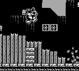 红狐冒险[美][欧]