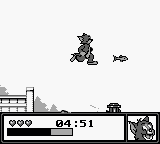 猫和老鼠-疯狂白痴[美]