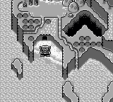 瓦里奥大陆[世界]