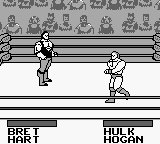 WWF冠军之戒[日]