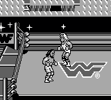 WWF超级之星[日]