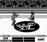 WWF战斗区域[美][欧]