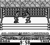 全日本职业摔角[日]