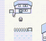 口袋妖怪-黄[日][D版]