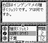 GB游戏学习系列-合格测验-理科战斗篇[日]