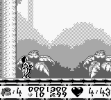 森林王子[美][欧]