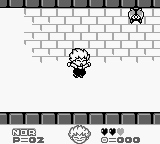 小德拉柯拉[美][欧]