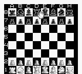 新国际象棋大师[美]