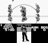 美国全国冰球联合会96[美][欧]