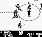 美国全国冰球联合会95[美][欧]