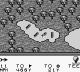 PGA巡回赛96[美][欧]