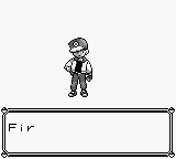 口袋妖怪-红[美][欧]