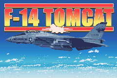 (美国·欧洲)（F-14雄猫）STG