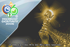 (美国·欧洲)（2006FIFA世界杯）
