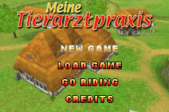 (欧洲)（我的兽医实习）