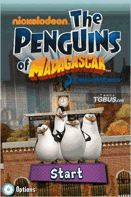 马达加斯加的企鹅